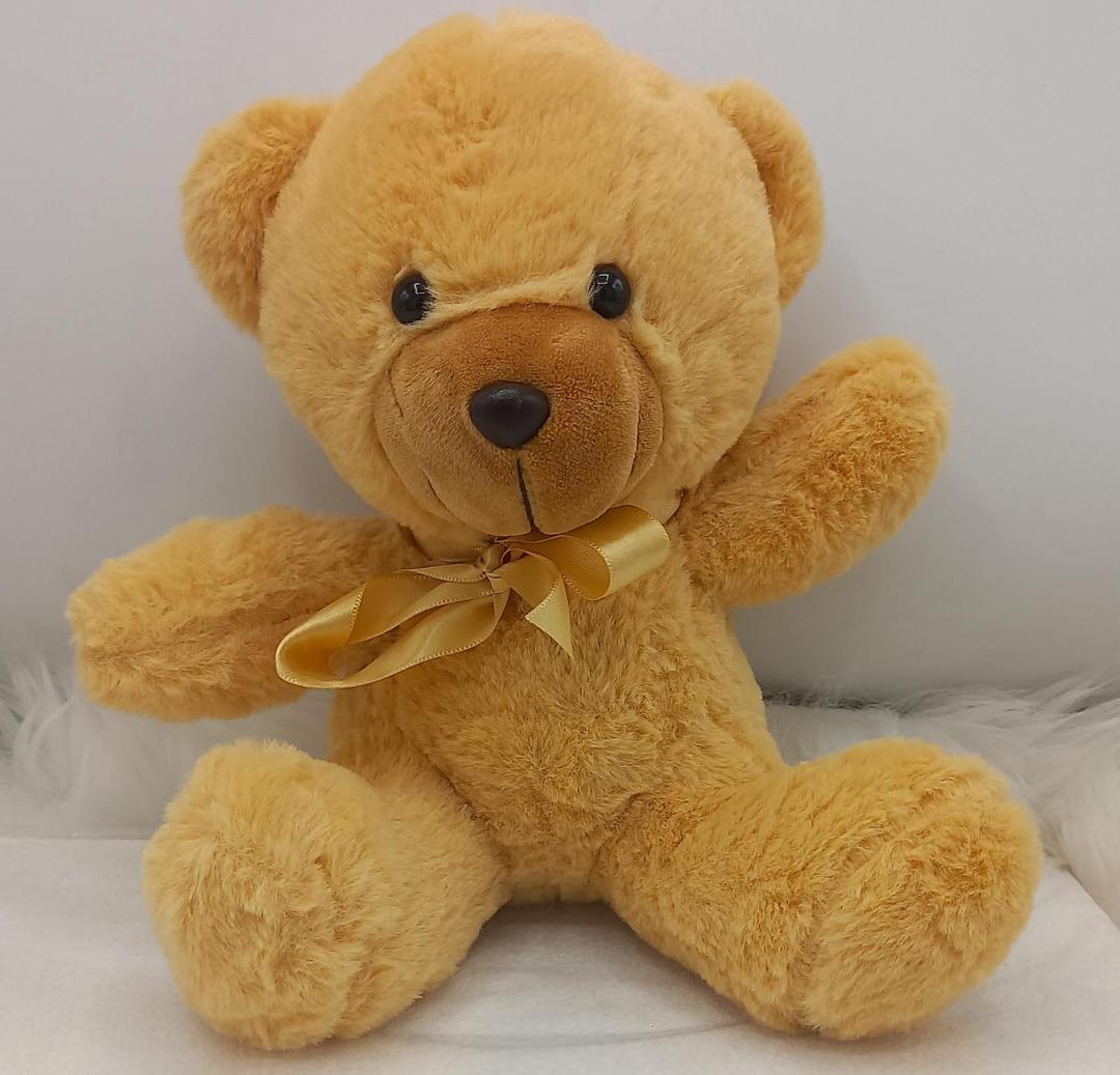 Soft Stuffed Teddy Bear with Cap –